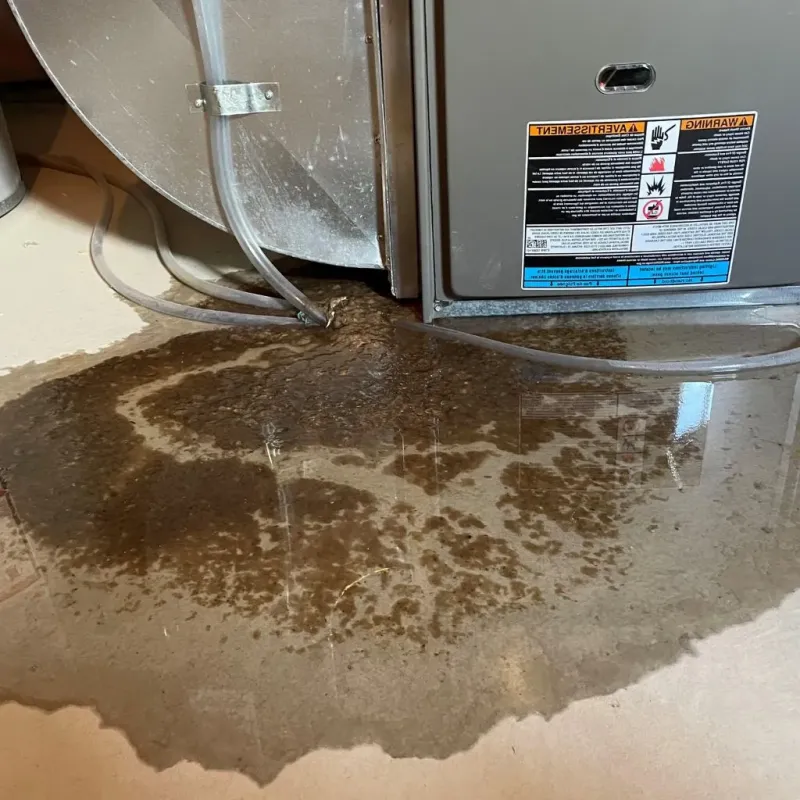 Pipe Burst and Leak Restoration in Fryeburg, ME