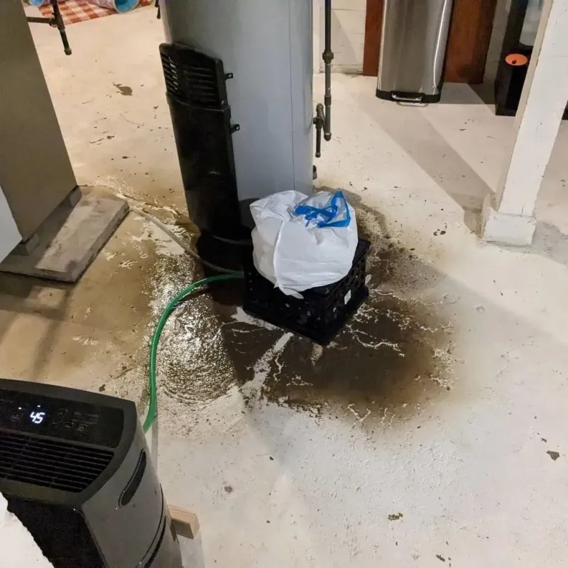 Sewage Backup Cleanup Service in Fryeburg, ME